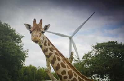 Image for PUBLIC SHARE ISSUE IN UK’S MOST WIDELY-OWNED RENEWABLE ENERGY COMPANY, TRIODOS RENEWABLES