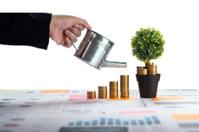 Image for Investing in Water: Opportunities in Sustainable Resource Management
