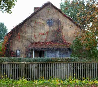Image for Is Your Home an Asset or a Liability?