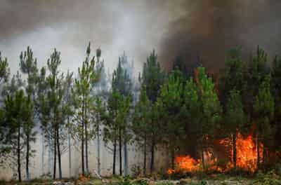 Image for Risk of new wildfires in southwestern France as heatwave persists