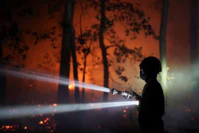 Image for Firefighters battle Fontainebleau forest fire near Paris as two arrested
