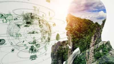 Image for Sustainable technology must be prioritised over enhancement: Re-focusing a wasteful tech culture