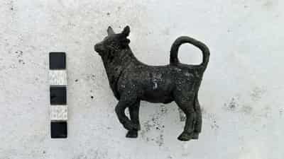 Image for Bronze statues, coins and ancient eggs found in Tuscan thermal baths