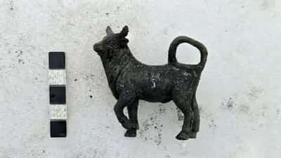 Image for Bronze statues, coins and ancient eggs found in Tuscan thermal baths