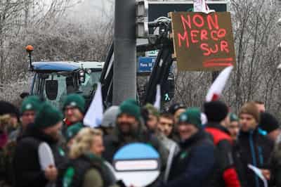 Image for EU lawmakers refer EU-Mercosur trade agreement to top EU court