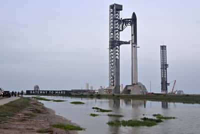 Image for Space stocks go into orbit as Musk mega IPO nears lift-off