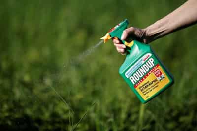 Image for U.S. Supreme Court again nixes Bayer challenge to weedkiller suits