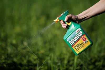 Image for U.S. Supreme Court again nixes Bayer challenge to weedkiller suits