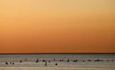 Image for Spain registers record high sea temperatures for May