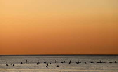Image for Spain registers record high sea temperatures for May