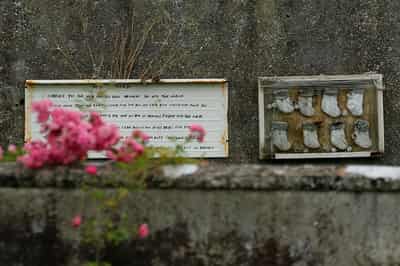 Image for Ireland to begin excavation of mass grave at Church-run Mother and Baby home