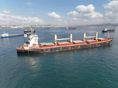 Image for Ukraine grain backlog prompts U.N. call for faster ship checks