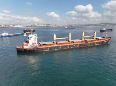 Image for Ukraine grain backlog prompts U.N. call for faster ship checks