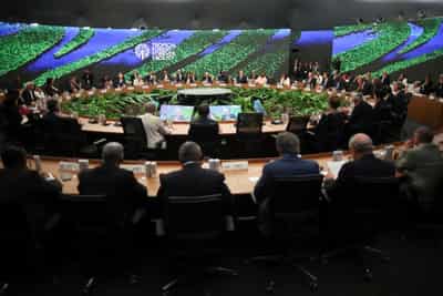 Image for Norway to invest about $3 billion in forest conservation fund