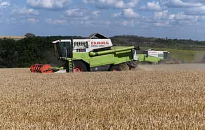 Image for Russia wants to boost agriculture exports through processing ventures abroad
