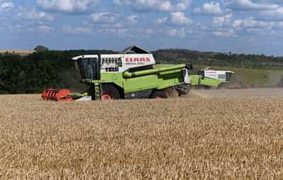 Image for Russia wants to boost agriculture exports through processing ventures abroad