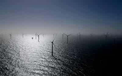 Image for Germany's offshore wind roll-out stalls in H1, lobbies want auction design reforms