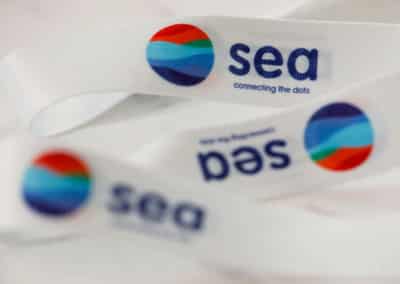Image for Sea seeks $6.3 billion in one of Southeast Asia&#8217;s biggest fundraisings