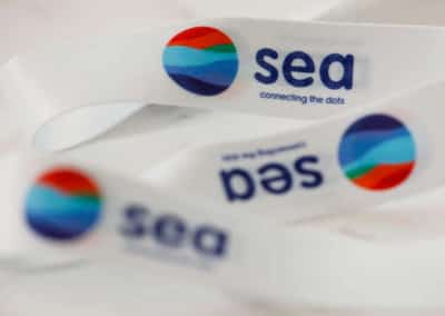 Image for Sea seeks $6.3 billion in one of Southeast Asia&#8217;s biggest fundraisings