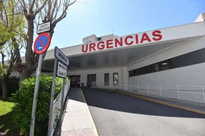 Image for Last two evacuation flights from hantavirus-hit ship to depart Monday afternoon