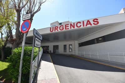Image for Last two evacuation flights from hantavirus-hit ship to depart Monday afternoon