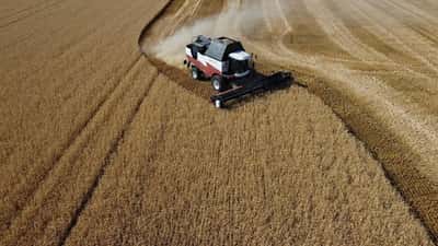 Image for Fuel crisis, attacks in Azov Sea tighten squeeze on Russian farmers