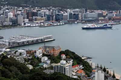 Image for New Zealand's business confidence hits highest level in 30 years, ANZ survey shows