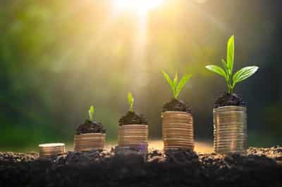 Image for The Profit Clarity Principle: Why Real Growth Requires More Than Revenue