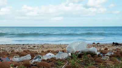 Image for EU packaging rules take effect with limits on 'forever chemicals', plastics curbs
