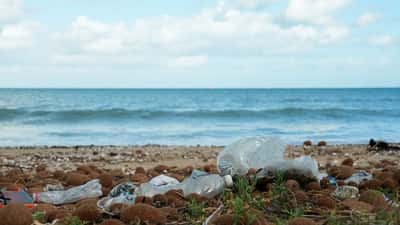 Image for EU packaging rules take effect with limits on 'forever chemicals', plastics curbs