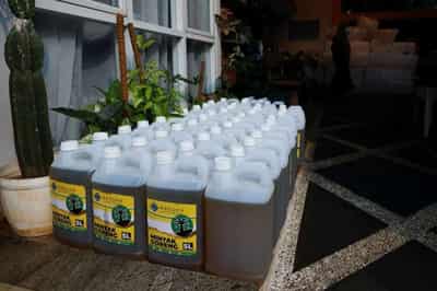 Image for Factbox – Global edible oil markets simmer after shock Indonesia ban