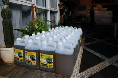 Image for Factbox – Global edible oil markets simmer after shock Indonesia ban
