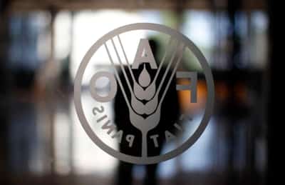 Image for World food price index falls for sixth month in Sept -FAO
