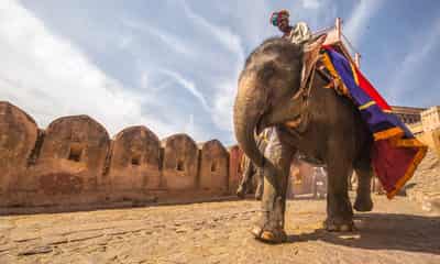 Image for Exclusive-Rising costs squeeze intermediaries out of thriving Russian oil trade with India