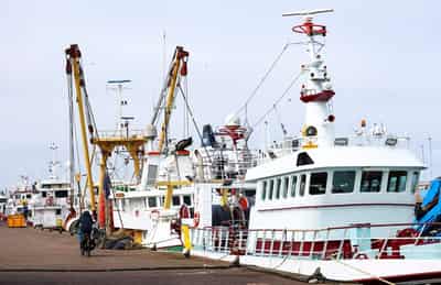 Image for Half of Dutch fleet idle as European fishing hit by high diesel prices