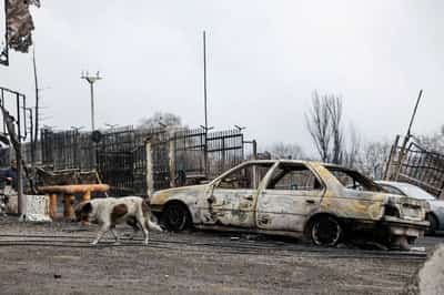 Image for Iran war fuels central bank rate hike bets on inflation fears