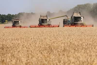 Image for Exclusive-Ukraine turns to alternative grain export routes, counts losses as Russia blocks ports