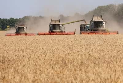 Image for Exclusive-Ukraine turns to alternative grain export routes, counts losses as Russia blocks ports