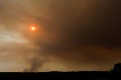 Image for Heat blamed for 2,149 deaths in Spain last month, data shows