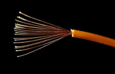 Image for Prysmian shares rise as Italian cable maker seen as winner amid US copper tariffs