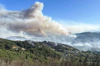 Image for Portugal battles three large wildfires in sweltering summer heat