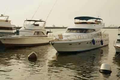 Image for ISRAEL ALLOWS GAZA FISH EXPORTS TO RESUME