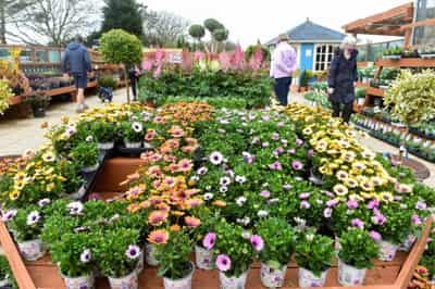 Image for Garden party plans help push up UK retail sales