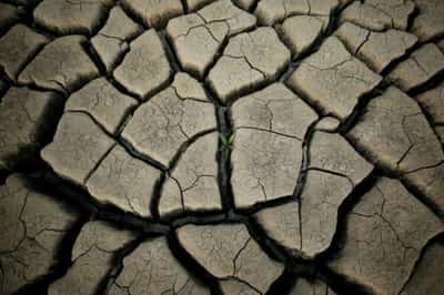 Image for Analysis &#8211; U.N. climate report increases urgency for green investment funds