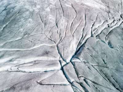 Image for Swiss glaciers rapidly lose protective snow in punishing European heatwave
