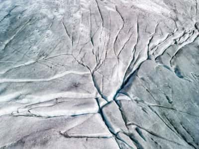 Image for Swiss glaciers rapidly lose protective snow in punishing European heatwave