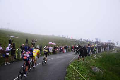 Image for Cycling-Tour de France shortens stage 19 after cattle disease outbreak forces route change