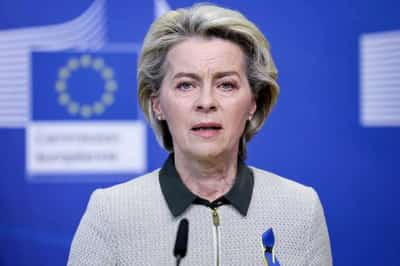 Image for EU offers farmers aid, more land to grow due to Ukraine war