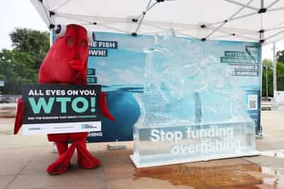 Image for COVID vaccine rights waiver within reach, WTO chief says ahead of meeting