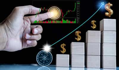 Image for The Undervalued Litecoin: Why “Boring” Blockchains Outlast Hype Cycles